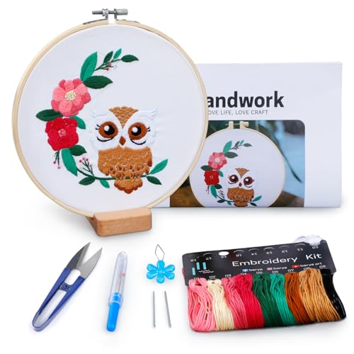 BERYA Owl Embroidery Kit, Embroidery Kit for Adult, Owl Pattern Practice Kit, Including Video Step by Step Instructions, Embroidery Hoop, Cloth, Needles and Thread for DIY Craft Lover (BEO013)