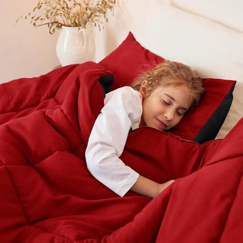 Exclusivo Mezcla Lightweight Reversible Twin Size Comforter Set, Down Alternative Comforter with 1 Pillow Sham, Twin Size Bedding Set for All Seasons, Red/Black Exclusivo Mezcla