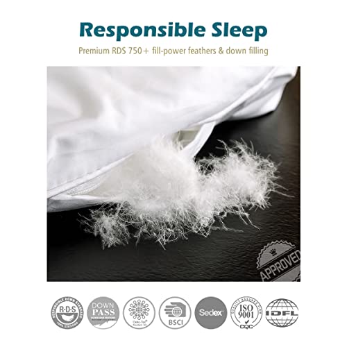 Cobnom® Luxury Organic Feather Down Comforter Twin Size, All-Season Duvet Insert, Fluffy High Fill-Power Down Feather Filled, 100% Cotton Cover, Medium Warm, Ivory White, 68x90 Inch Cobnom