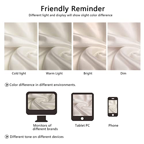 Silk Pillow Cases 2 Pack, Mulberry Silk Pillowcases Standard Set of 2, Health, Smooth, Anti Acne, Beauty Sleep, Both Sides Natural Silk Satin Pillow Cases for Women 2 Pack with Zipper for Gift,White DKBslik