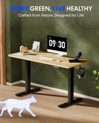 FLEXISPOT EN1 One-Piece Solid Wooden Standing Desk 63 x 24 Inches Height Adjustable Electric Sit Stand Home Office Desks (Black Frame + Rubber Wood Top, 2 Packages) FLEXISPOT