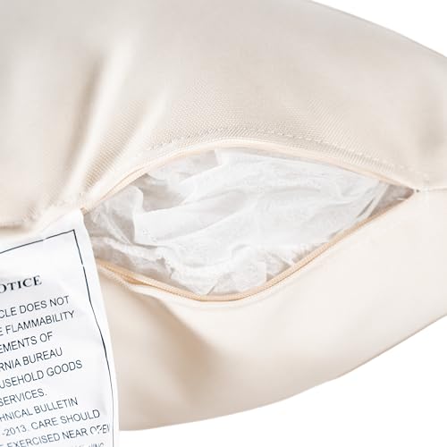 Christopher Knight Home Lucid Set of 2 Outdoor Dining Chair, Acacia Wood Frame Dining Chairs, Accent Chair Set with Comfortable Cushions, Patio Armchair for Backyard Poolside Garden, Natural + Beige Christopher Knight Home