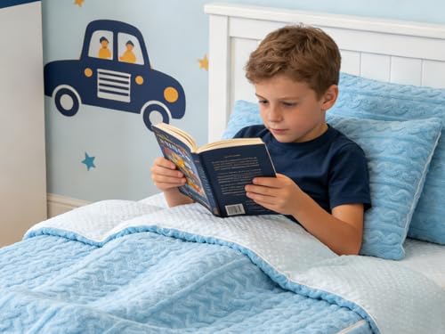 Aimuan Kids Zippered Comforter Set - Blue Fleece Zipper Bedding for Girls (Twin, Blue) Aimuan