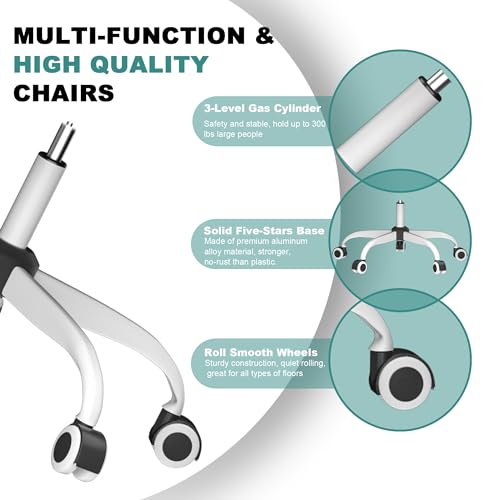 Mimoglad Office Chair, High Back Ergonomic Desk Chair with Adjustable Lumbar Support and Headrest, with flip-up Armrests for Guitar Playing, 5 Years Warranty (Moon Grey) Mimoglad