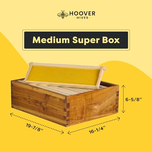 Hoover Hives: The Original Beeswax Coated Beehive Kit. Includes 2 Deep & 1 Medium Boxes with Wooden Frames & Heavy Wax Coated Foundations. Easy Assembly with Predrilled Holes & Screws (Unassembled) Hoover Hives