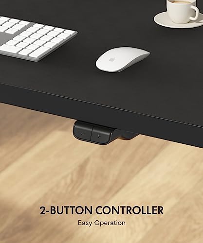 FLEXISPOT Standing Desk 48 x 30 Inches Height Adjustable Electric Sit Stand Home Office Desks Whole Piece Desk Board (Black Frame + Black top,2 Packages) FLEXISPOT