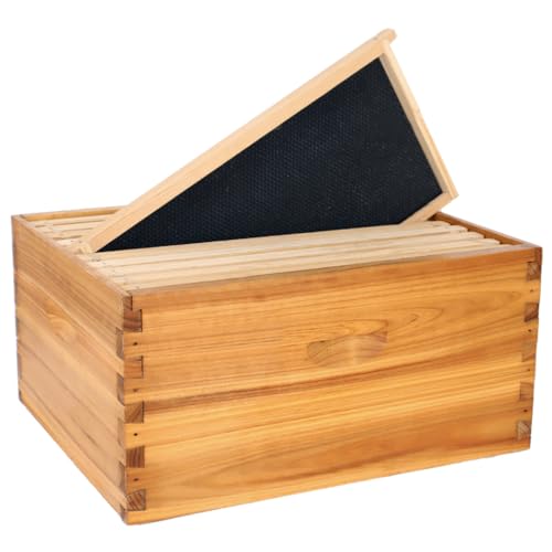 POLLIBEE 10 Frame Beehive Box, Langstoth Deep Brood Bee Hive Box, Bee Box Dipped in 100% Beeswax Includes Wooden Bee Frames & Waxed Foundations (Unassembled) POLLIBEE