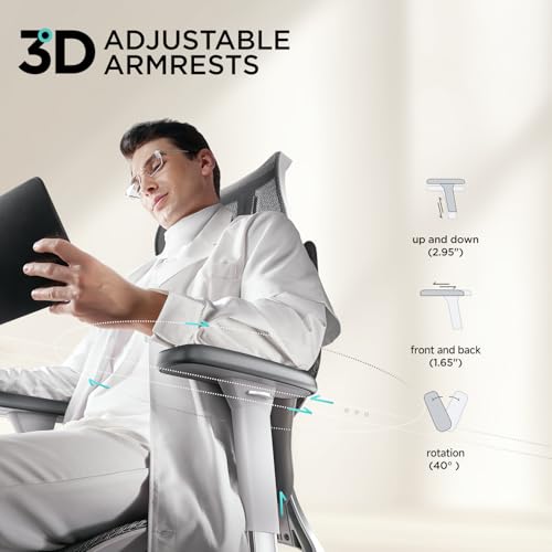 Hbada E3 Air Ergonomic Office Chair, Big and Tall Office Chair - with 3-Zone Dynamic Lumbar Support, 3D Adjustable Headrest, 3D Adjustable Armrests, Swivel, Grey(No Footrest) Hbada