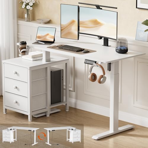 REAHOME Electric Standing Desk with Drawers, 47 x 24 Inches Height Adjustable Sit Stand Desk with Storage, 3 Memory Preset Home Office Computer Table, Printer Cabinet, 2 Hooks, Cable Management, White REAHOME