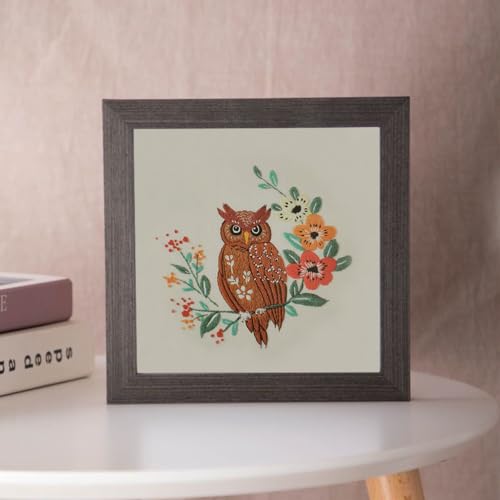 Esffaci Embroidery Starter Kit for Adult Beginner with Owl Flower Pattern Hand Embroidery Set with Embroidery Cloth Hoop Needles Colorful Floss and Instruction