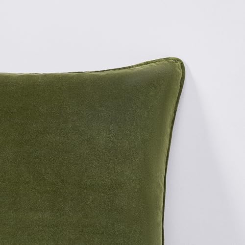 Lush Decor x Chuks Collins Terran Velvet Decorative Pillow Cover Single 22" W x 22" L Green - 22x22 Pillow Cover - Velvet Throw Pillows for Bed, Couch or Chair - Luxury Home Decor Lush Decor