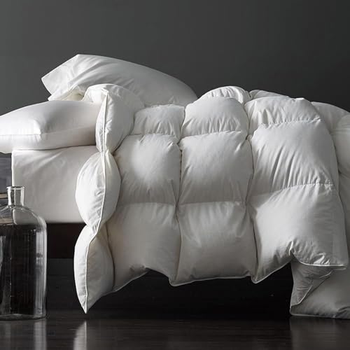 Royoliving Premium Feathers Down Duvet Insert Comforter Queen Size All Season Medium Warmth White 100% Cotton Cover with Corner Tabs (90x90, 50 oz) Royoliving