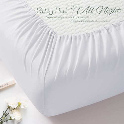 Vonty 1Pcs White Cot Sheets 31" x 75" - 1800 Thread Count Cot Microfiber Fitted Sheets Only, Breathable & Soft Camper Bunk Fitted Bed Sheet Fit for Narrow Twin RV Bunk Guest Bed Matress Vonty