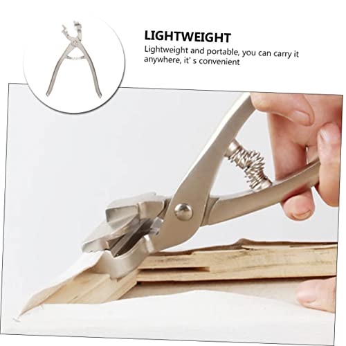 PLAFOPE Canvas Plier Tool for Artists Adjustable Canvas Stretching Clamp 2-Piece Set for Painting Supplies and Artwork PLAFOPE