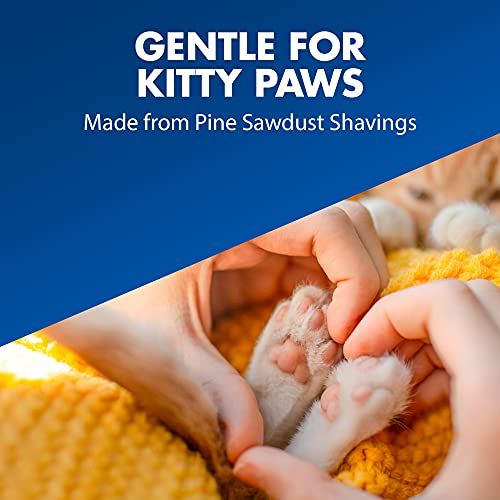 Feline Pine Platinum Non-Clumping Cat Litter 18lb. Arm & Hammer