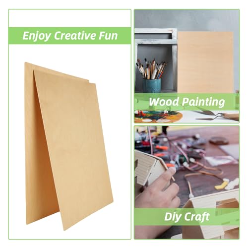 12Pcs 16 x 12 x 1/16 Inch Baltic Birch Plywood Sheets Unfinished Plywood Sheet for Arts and Crafts, Painting, Pyrography, Wood Engraving, Wood Burning, Laser, Architectural Models ACXFOND