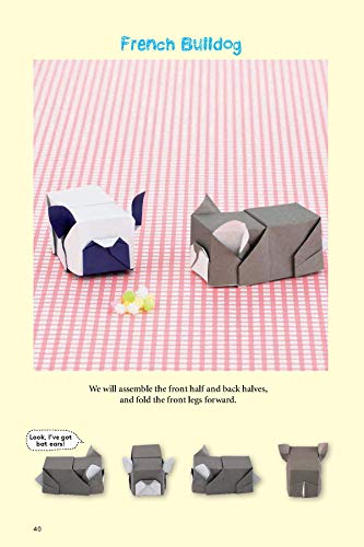 Origami Animal Boxes Kit: Cute Paper Models with Secret Compartments! (14 Animal Origami Models + 48 Folding Sheets) Tuttle Publishing