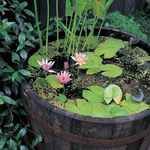 Master Garden Products Reclaimed Used Wine Barrel Planter, Brown, Outdoor Master Garden Products
