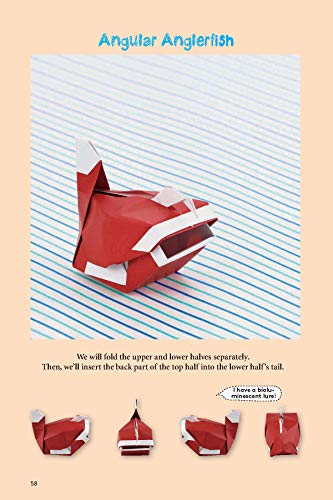 Origami Animal Boxes Kit: Cute Paper Models with Secret Compartments! (14 Animal Origami Models + 48 Folding Sheets) Tuttle Publishing