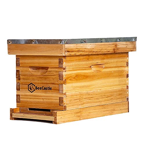 BeeCastle 5 Frame Bee Hive Nuc Box Coated with 100% Beeswax Includes Beehive Frames and Waxed Foundations BeeCastle
