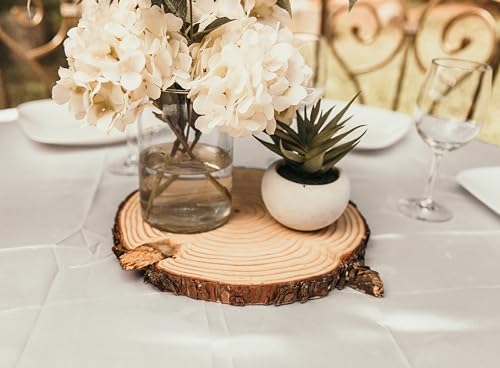 Rustic Wood Slices Set of (14) 9-10 inch Wood Slices! Wood Slices for centerpieces, Natural Wood Slices, Large Wood Slices (14) Rustic Wood Slices Inc.