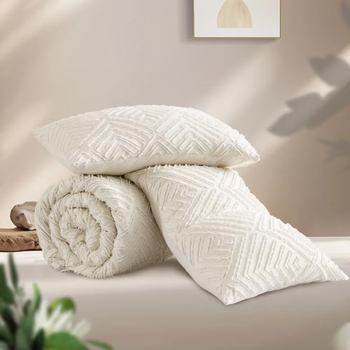 Andency Queen Comforter Set Beige, 3 Pieces Queen Size Comforter Sets Boho Cream Solid Bedding Set & Collections, All Season Tufted Farmhouse Bed Comforter Set (90x90 in Comforter & 2 Pillowcases) Andency