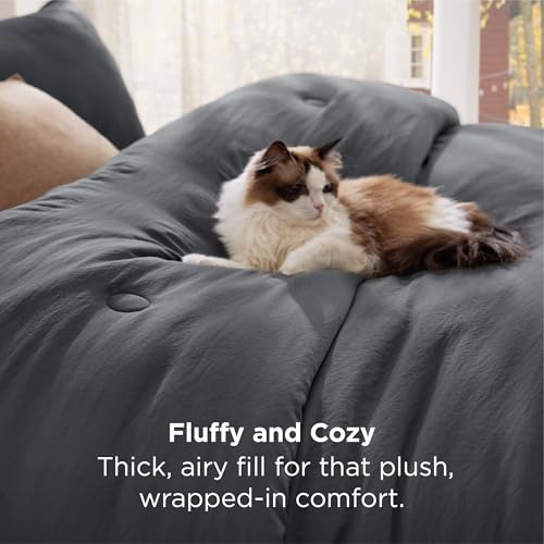 Bedsure Queen Comforter Set Dark Grey, Soft Prewashed Queen Size Bedding, Quilted Comforter with Circle Design, Down Alternative Comforter for All Seasons, 3 Pieces Bed Set with 2 Pillow Shams Bedsure