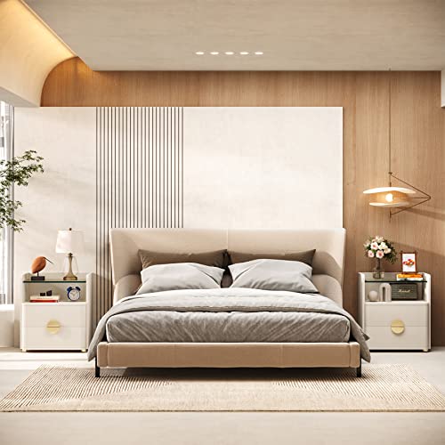 Tribesigns Modern Nightstands Set of 2, 2-Drawer Night Stand with Open Storage Space, Easy Assembly Wood Bed Side Table for Bedroom, Tempered Glasses Side End Table for Living Room Tribesigns