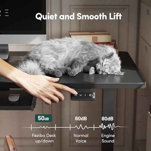 FEZIBO Standing Desk with Keyboard Tray, 63 × 24 Inches Electric Height Adjustable Desk, Sit Stand Up Desk, Computer Office Desk, Black FEZIBO