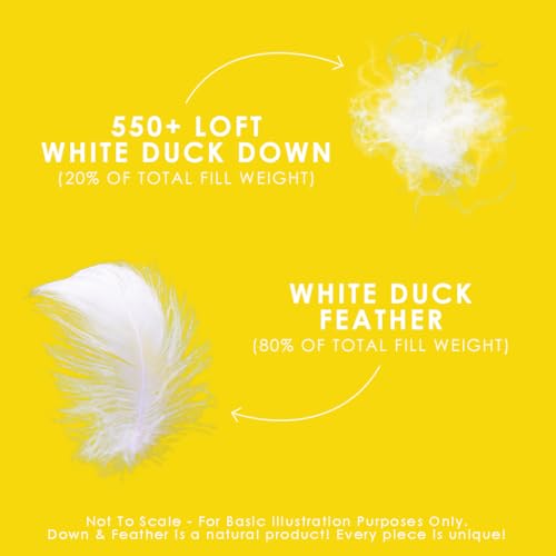 Canadian Down & Feather Co. - All Season Weight White Feather & Down Duvet Twin Size - 240 TC Shell 100% Cotton - Oeko TEX Certified Canadian Down & Feather Company