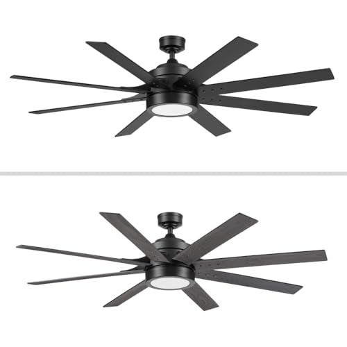 Honeywell Ceiling Fans Xerxes Modern 62 Inch Ceiling Fan with Light, Remote Control Fan, LED Indoor Fan with 8 Blades, Matte Black and Ash Blade Finish Options, Matte Black (51473-01) Honeywell