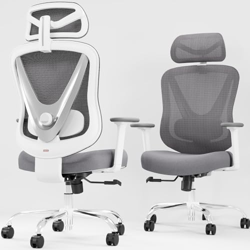 HOLLUDLE Ergonomic Mesh Office Chair - 3D Adjustable Lumbar Support & 3D Armrests, V-Shaped Back, Adjustable Desk Chair for Office & Home, White HOLLUDLE