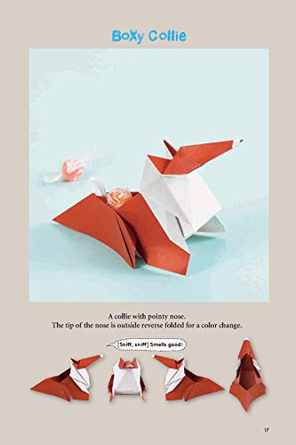 Origami Animal Boxes Kit: Cute Paper Models with Secret Compartments! (14 Animal Origami Models + 48 Folding Sheets) Tuttle Publishing