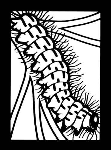 Insects Mini Stained Glass Coloring Book (Dover Little Activity Books: Insects) Dover Publications