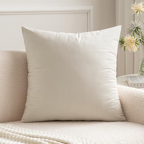 MIULEE Velvet Pillow Cover Soft Luxury Decorative Throw Pillow Cover Eruo Sham Single Rectangle Cushion Case for Couch Sofa Bedroom Car Decor,24x24 Inch Cream White MIULEE