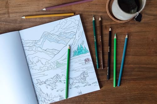 Howl: The Call of the Wolf: A Stress-Relieving Adult Coloring Book Inspired by the Alaskan Wilderness WoodArtSupply
