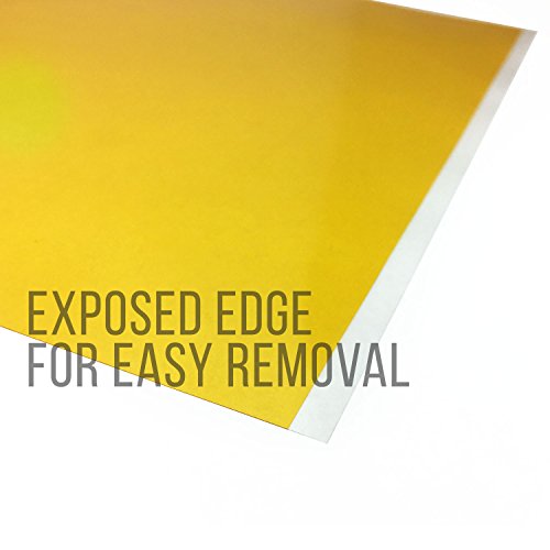 Gizmo Dorks Kapton Tape Polyimide for 3D Printers and Printing, 9 x 12 inches, 10 Sheets per Pack Gizmo Dorks