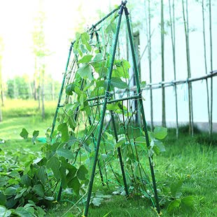 Cucumber Trellis Garden Trellis Arch Trellis, Tall Metal Trellis for Climbing Plants Support Vegetable Peas Fruit Vine Outdoor A-Frame Trellis (Green) 7Queen