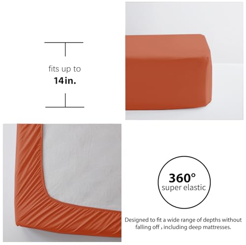 Anluoer Queen Comforter Set, Burnt Orange Tufted Bed in a Bag 7 Pieces with Comforter, 2 Pillow Shams, 2 Pillowcases, 1 Flat Sheet, 1 Fitted Sheet Anluoer
