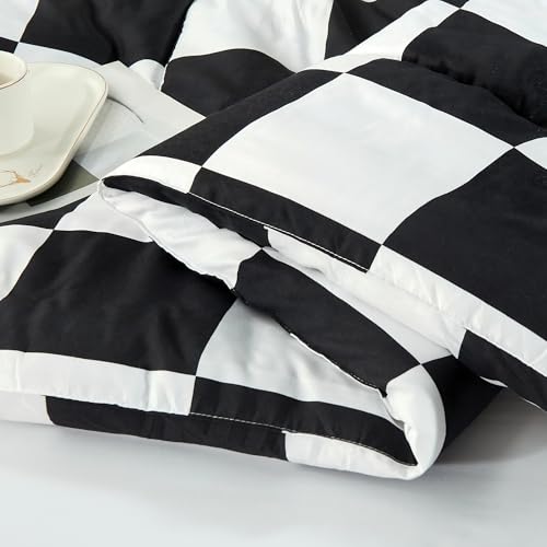 Anrenoti Black White Plaid Comforter Set, 3 Pieces Fluffy Gingham Checkered Down Alternative Comforter Full (79"x90"), Lightweight Microfiber Geometric Bedding with 2 Pillowcases for All Seasons Anrenoti