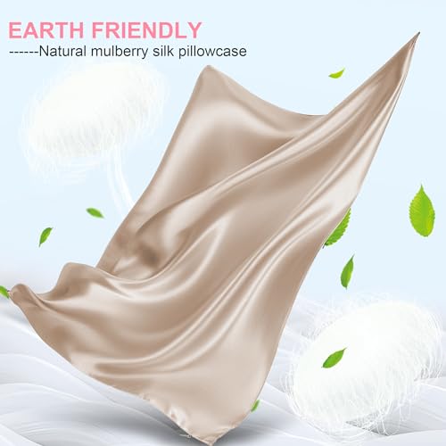 Mulberry Silk Pillow Cases 2 Pack Standard Size 20x26 Inches with Hidden Zipper, Ultra Smooth and Soft Breathable Cooling Silk Satin Pillowcase Set of 2, Better for Hair and Skin, Gifts for Women Men LYSHIN