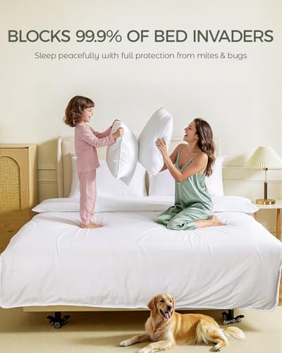FAUNNA 100% Cotton Duvet Cover, Hypoallergenic Bed Bug Proof White Minimalist Comforter Cover Zipper,Featuring Antimicrobial Product Protection for Enhanced Freshness Breathable Duvet Protector(Full) FAUNNA