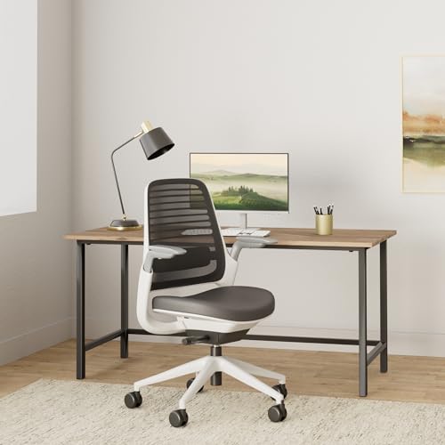 Steelcase Series 1 Office Chair - Ergonomic Work Chair with Wheels for Carpet - Helps Support Productivity - Weight-Activated Controls, Back Supports & Arm Support - Easy Assembly - Graphite, Light Steelcase