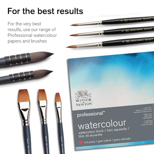 Winsor & Newton Professional Watercolor Paint Set, Lightweight Metal Box, 24 Half Pan Winsor & Newton