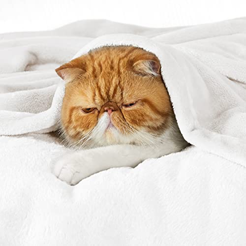 Bedsure GentleSoft Fleece Blankets King Size White - Bed Blanket Soft Lightweight Plush Cozy Fuzzy Luxury Microfiber, 108x90 inches Bedsure