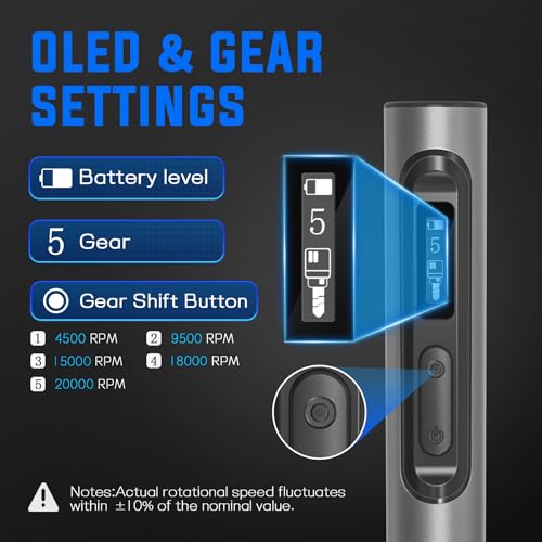 LAPUPUTIK Engraving Pen, Cordless Rotary Tool Kit with OLED Screen & Pause Button, Works While Charging, 5 Speeds Engraver with 30 Bits for Metal Wood Glass Plastic Lapuputik