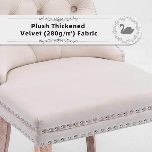 SoarTalent Velvet Upholstered Dining Chairs Set of 2, Modern Style Kitchen Side Chairs with Nailhead Trim and Wood Legs,Metal Pulling Ring for Dining Room Living Room(Beige,Set of 2) SoarTalent