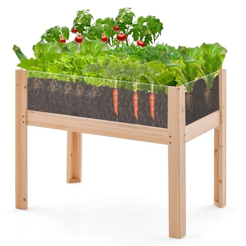 Giantex Raised Garden Bed, Elevated Wood Planter Box with Legs, Drainage Holes, Acrylic Panels, Standing Raised Beds for Fruits Vegetables Flowers Herbs, 30”x18”x24” Giantex