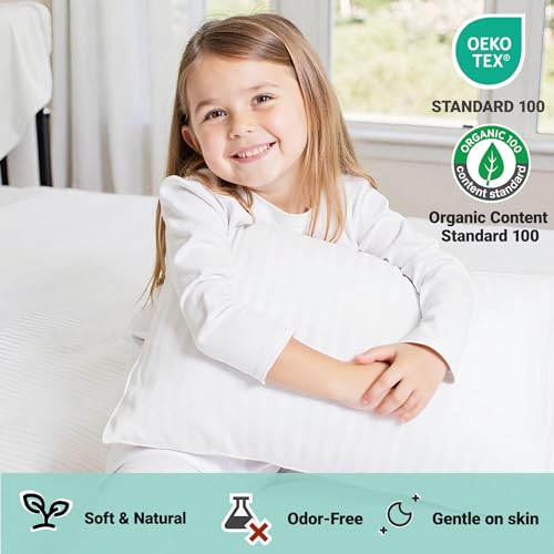 ZPECC Toddler Pillow with Pillowcase - 13x18 Organic Cotton Hypoallergenic Kids Pillow, Baby Essentials for Travel Crib Daycare Stroller (Intended for Age 2 and up) White Stripe ZPECC