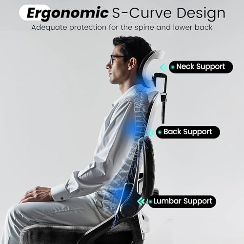 Fizzin Ergonomic Office Chair, 400 LBS Computer Chairs with Adjustable Lumbar Support, Breathable Mesh Desk Chair Ergonomic with Thickened Cushion, Comfy Home Office Desk Chair (Black) Fizzin